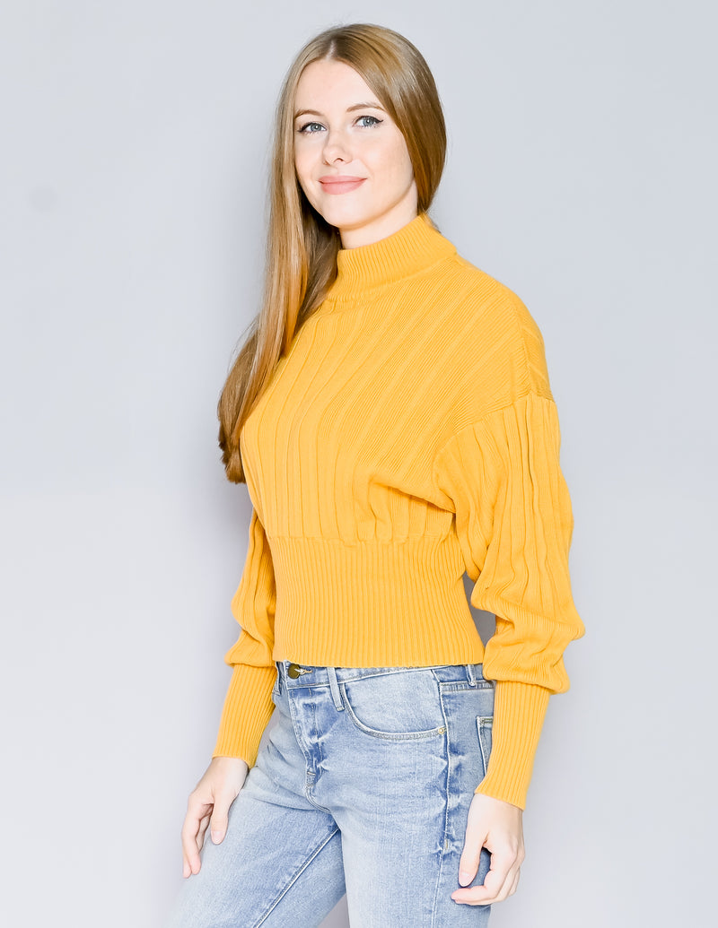 WILFRED Aritzia Yellow Icalma Ribbed Sweater (XS)